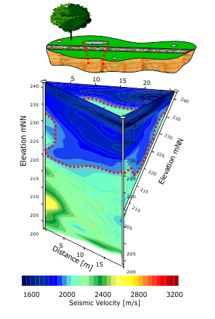 Settlement Tomogram1